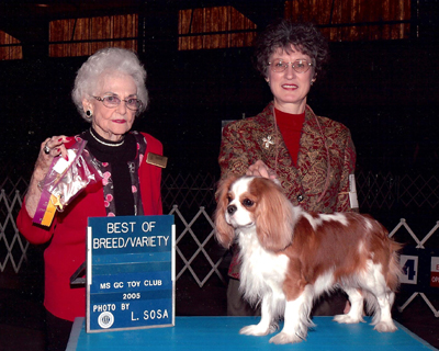 AKC CH Cascadia Berrybrook Shining Brightly
